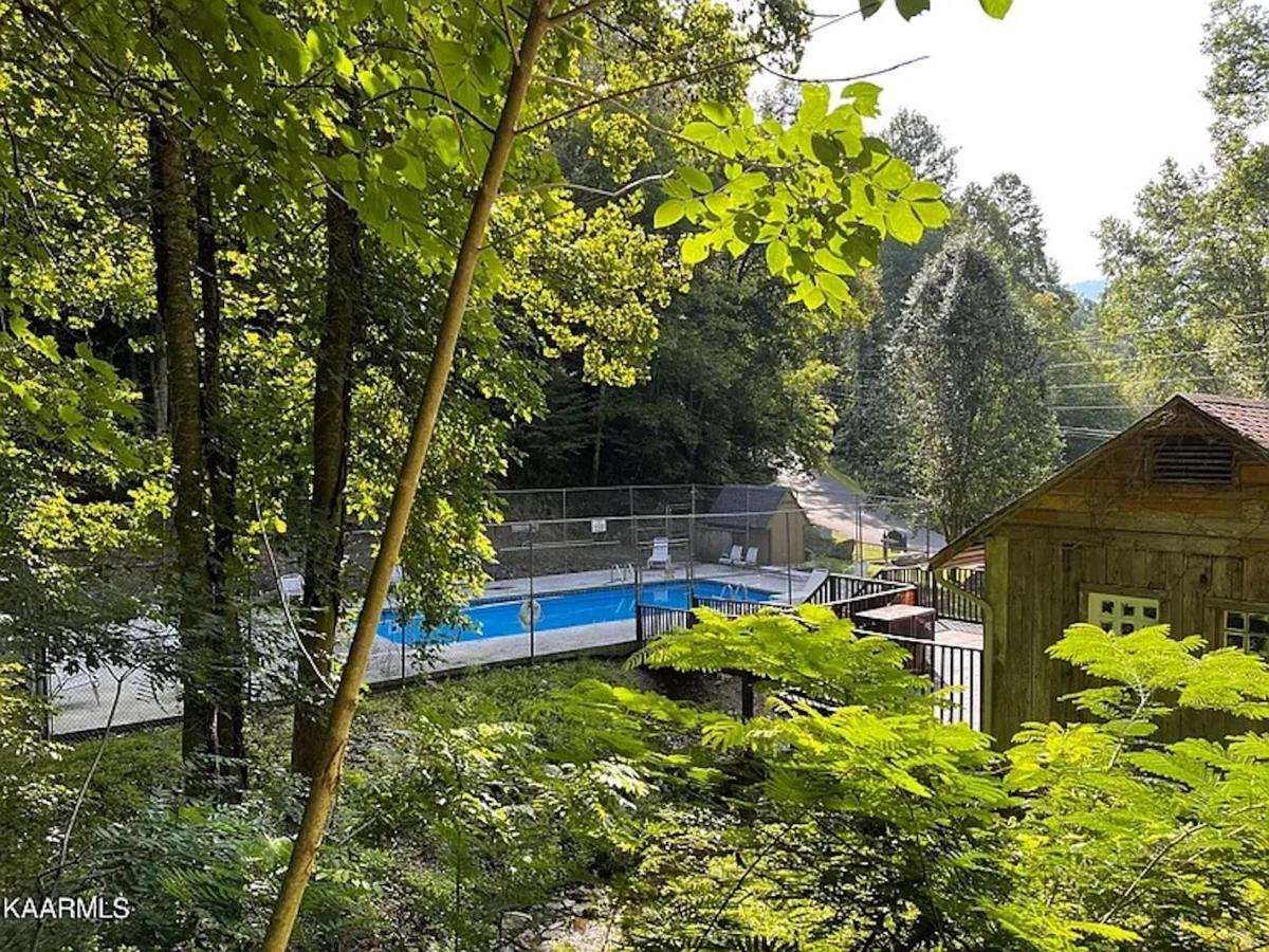 Hawks View Gatlinburg Mountain Cabin Екстериор снимка